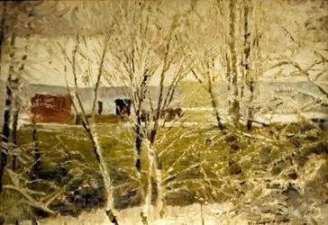 First Snow